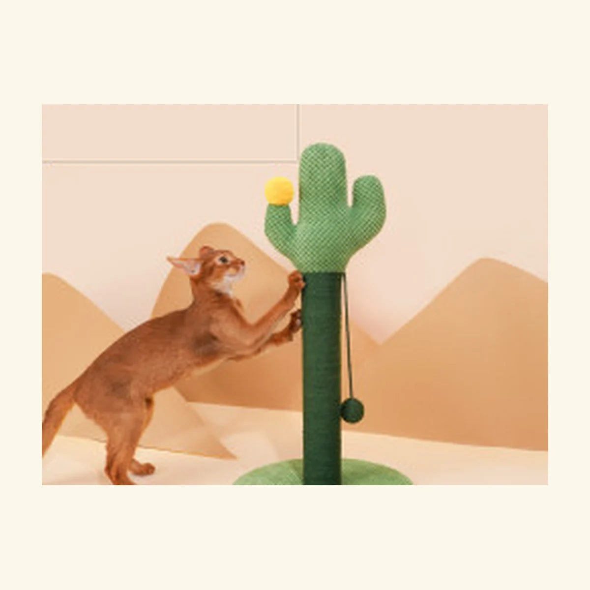 Cactus Club Scratching Post in a bright pet-home setting