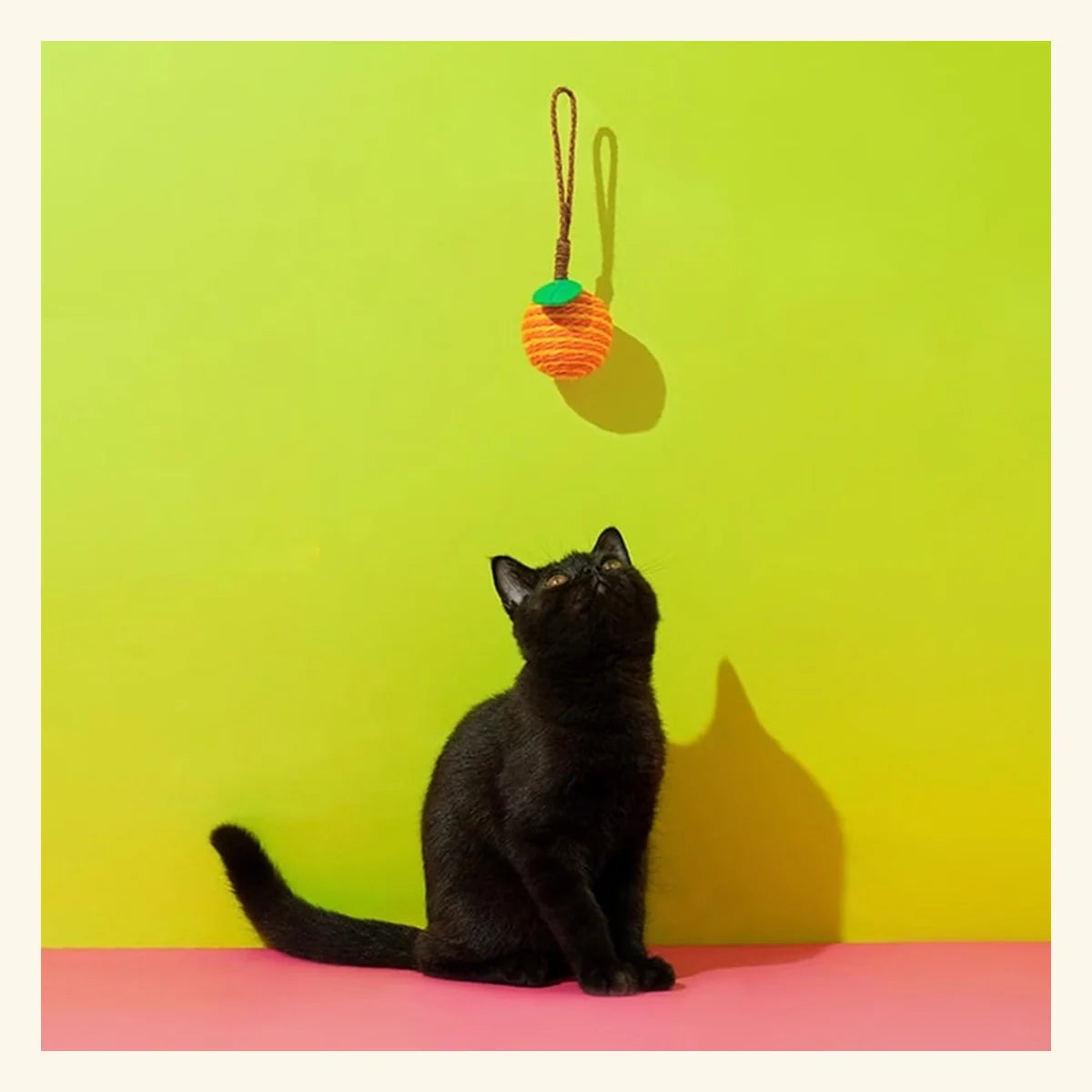 Citrus Loop Ball Cat Toy in a bright pet-home setting