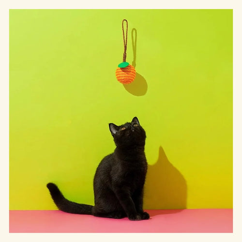 Citrus Loop Ball Cat Toy in a bright pet-home setting