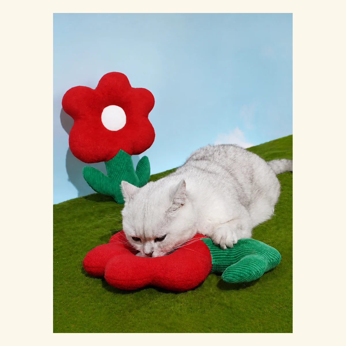 Fortune Flower Cat Cushion in a bright pet-home setting