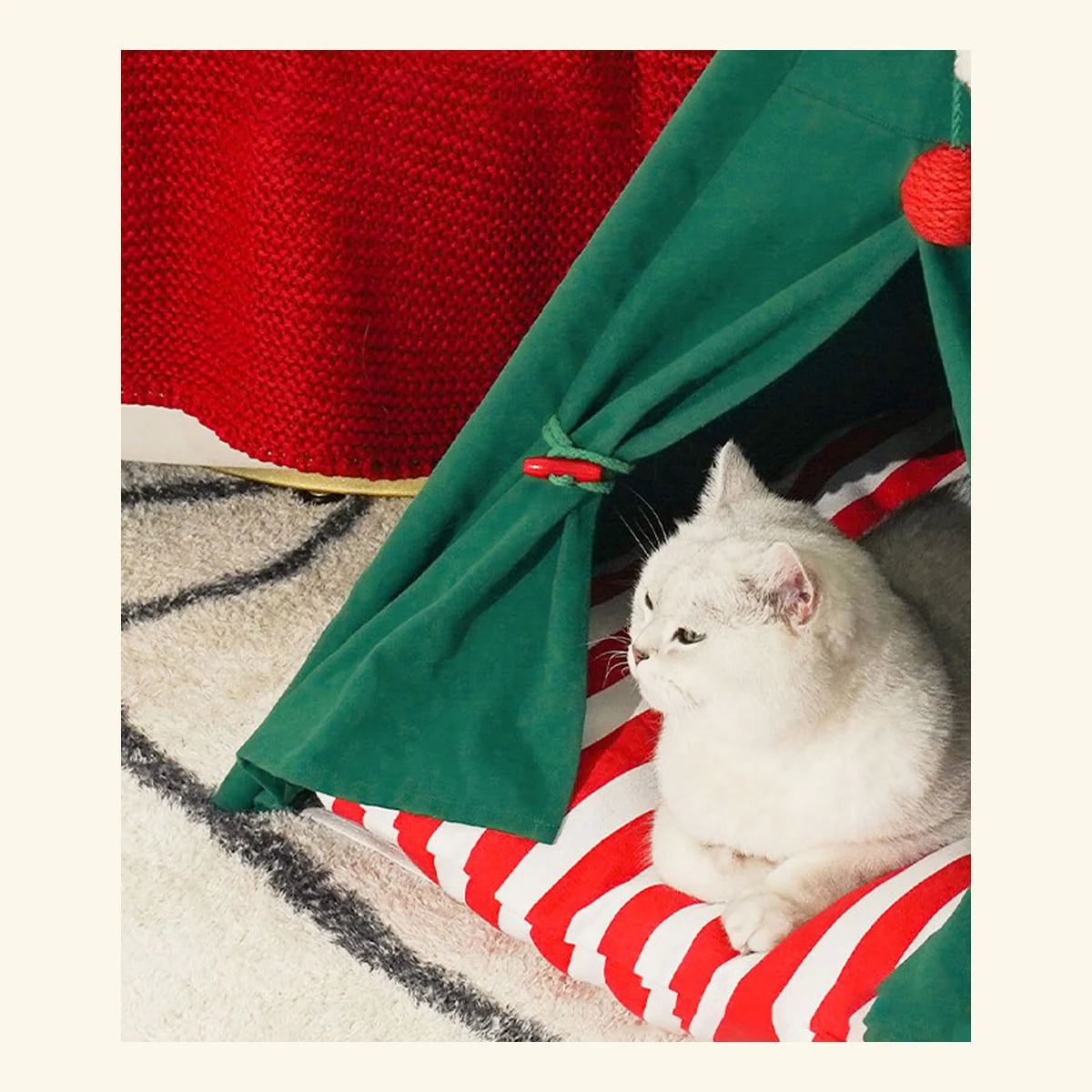 Holly Hideout Pet Tent in a bright pet-home setting