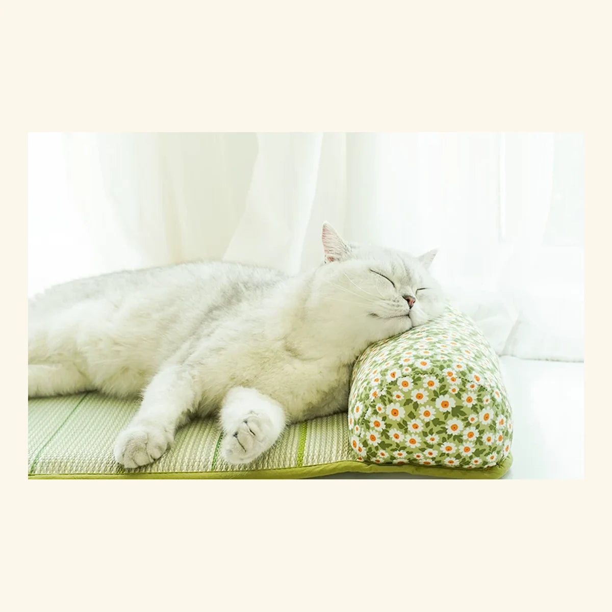 Meadow Roll Pet Mat in a bright pet-home setting