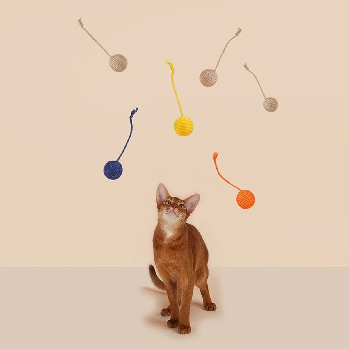 Party Trio Ball Cat Toy in a bright pet-home setting