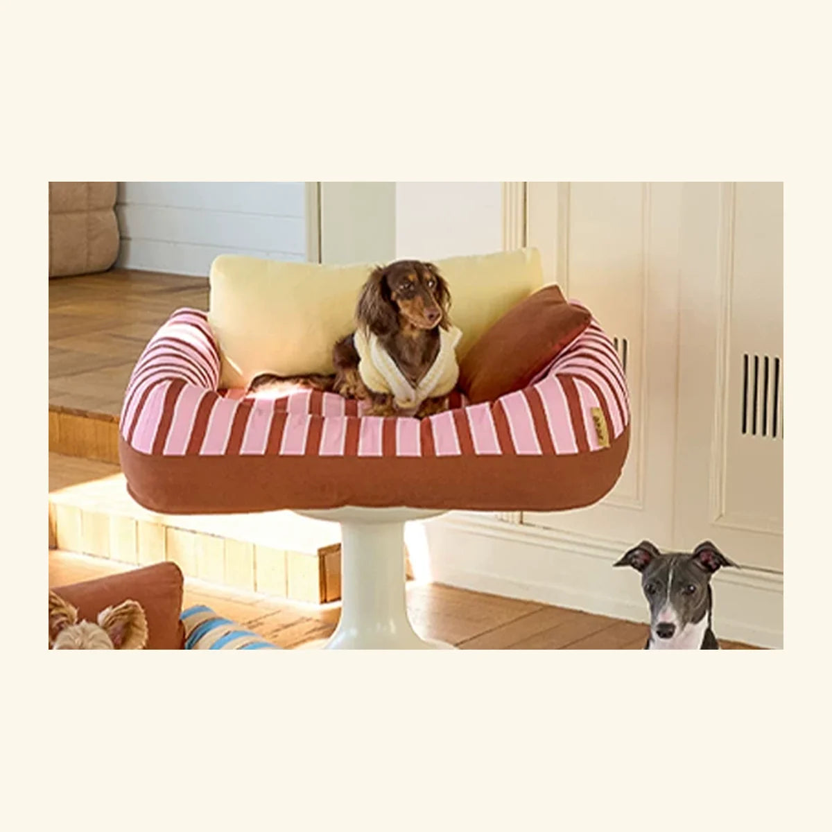 Sundae Stripe Pet Lounge in a bright pet-home setting