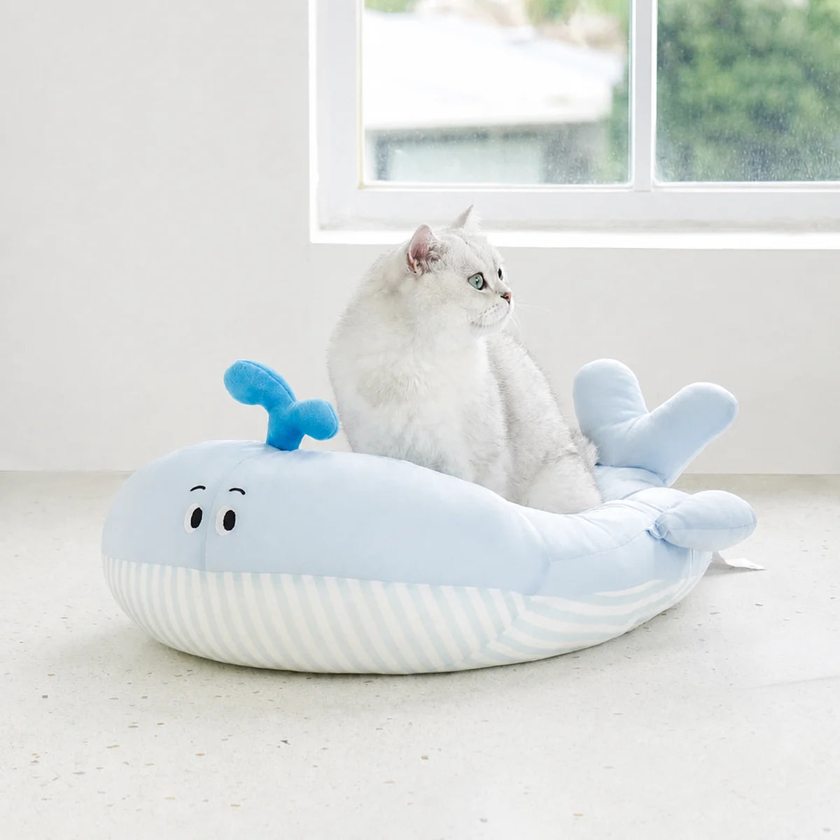 Whale Cove Pet Bed in a bright pet-home setting