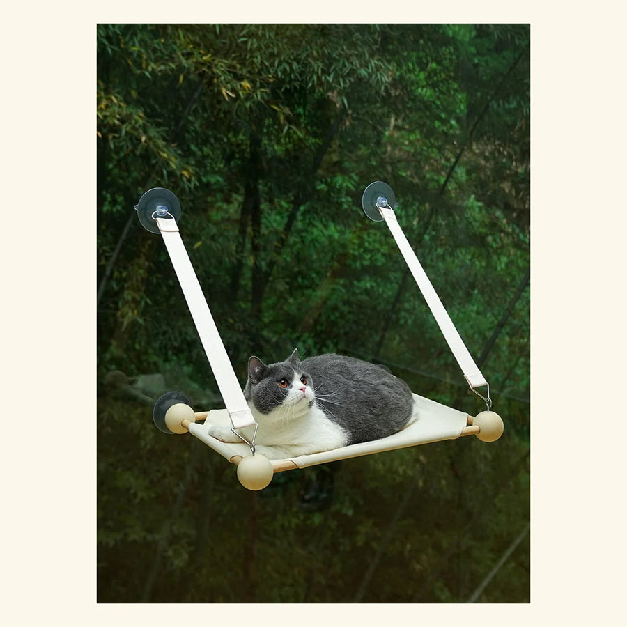 Window Daydream Cat Hammock in a bright pet-home setting